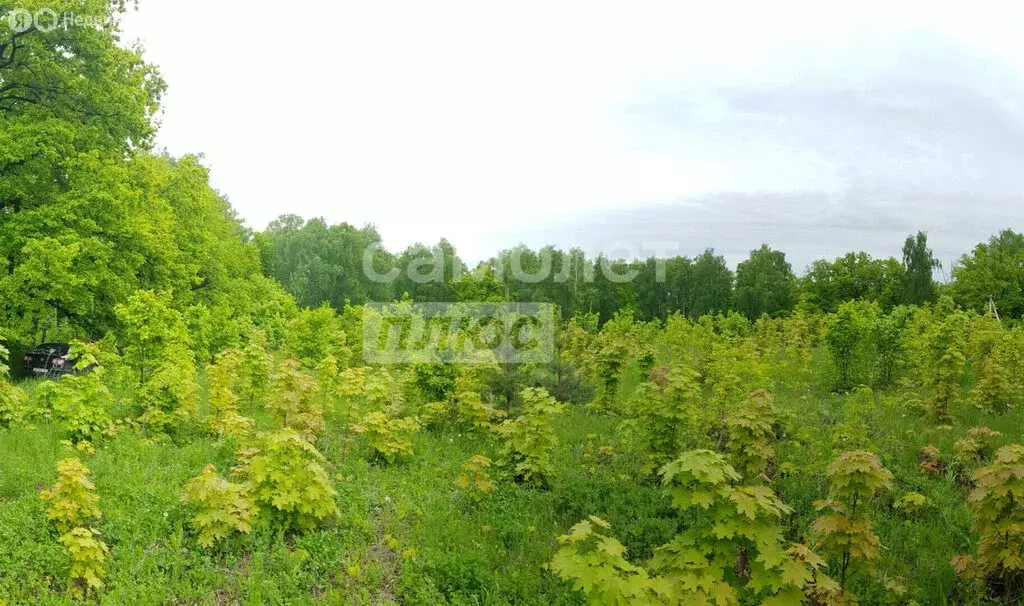 Участок в Чишминский район, Алкинский сельсовет, село санатория ... - Фото 1