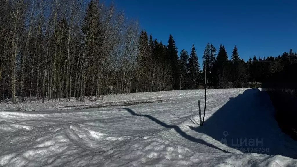Участок в Пермский край, Пермский муниципальный округ, д. Большакино ... - Фото 1