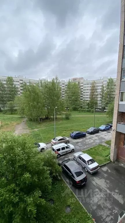 Комната Санкт-Петербург Придорожная аллея, 19 (12.3 м) - Фото 1