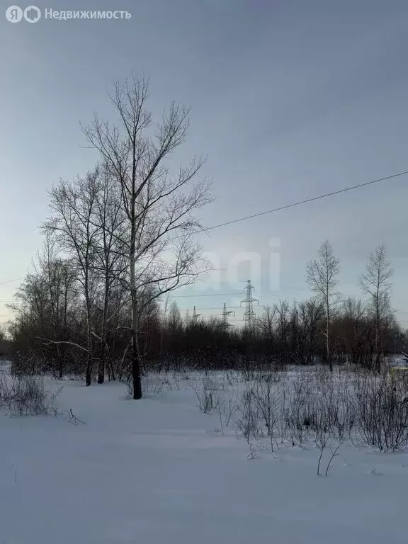 Участок в село Берёзовка, улица Гоголя (15 м) - Фото 2