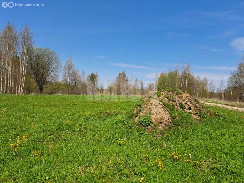 Участок в Вологодская область, Сокольский муниципальный округ, село ... - Фото 0