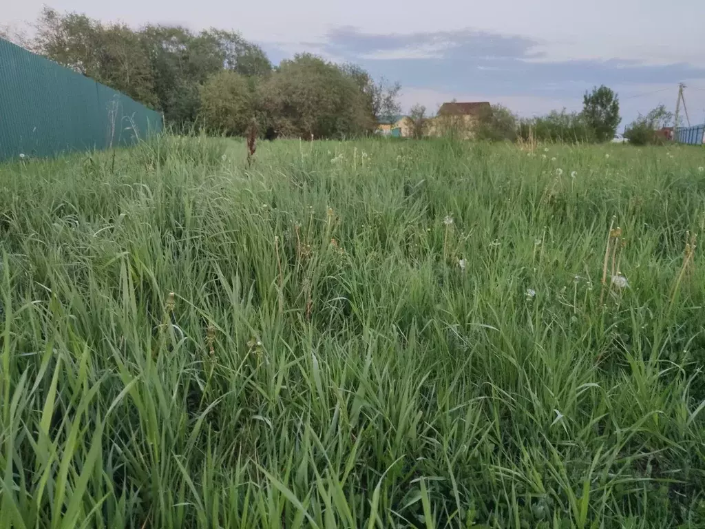 Участок в Ленинградская область, Гатчинский муниципальный округ, ... - Фото 1