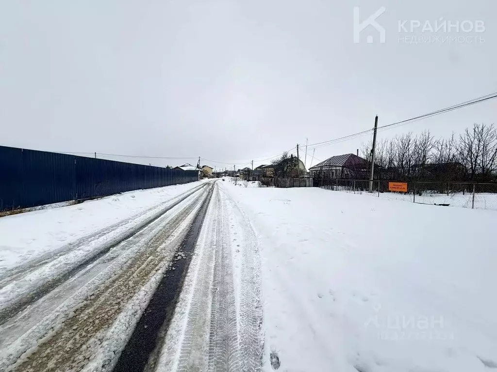 Участок в Воронежская область, Рамонский район, Новоживотинновское ... - Фото 2