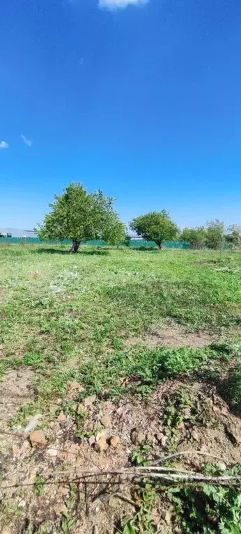 Участок в Ростовская область, Октябрьский район, пос. Персиановский, ... - Фото 0
