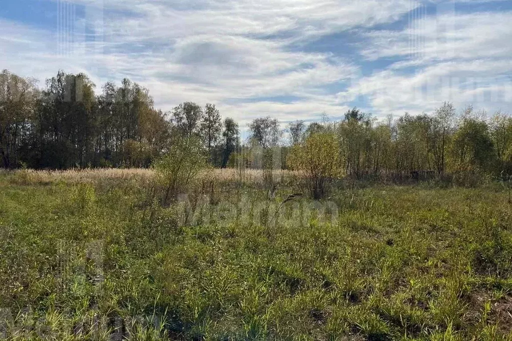 Участок в Московская область, Одинцовский городской округ, с. ... - Фото 1