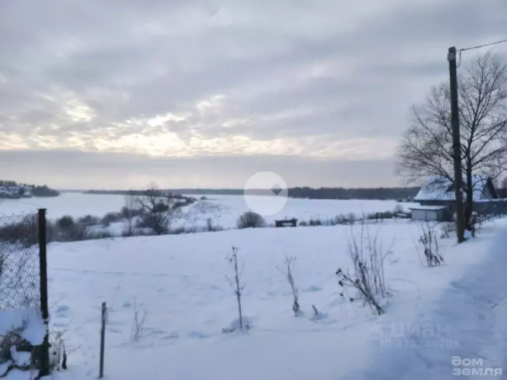 Участок в Новгородская область, Чудовский район, Трегубовское с/пос, ... - Фото 1