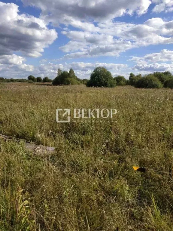 Участок в Костромская область, Кострома Первый кп, ул. Губернская ... - Фото 2