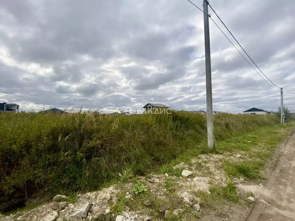 Участок в Калининградская область, Зеленоградский муниципальный округ, ... - Фото 2