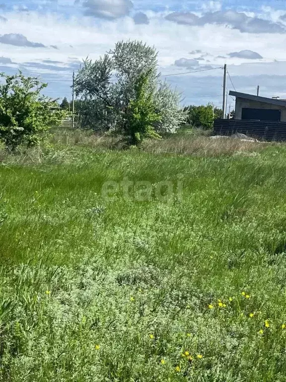 Участок в Ростовская область, Аксайский район, Старочеркасская ст-ца  ... - Фото 0