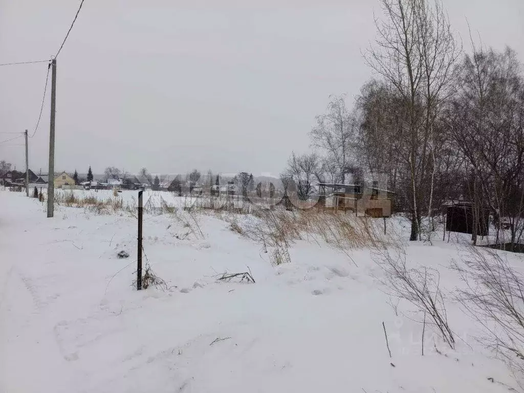 Участок в Алтайский край, Барнаул городской округ, Поселок Казенная ... - Фото 1