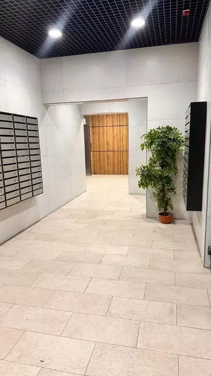 1-к кв. Приморский край, Уссурийск ул. Александра Францева, 40 (33.8 ... - Фото 2