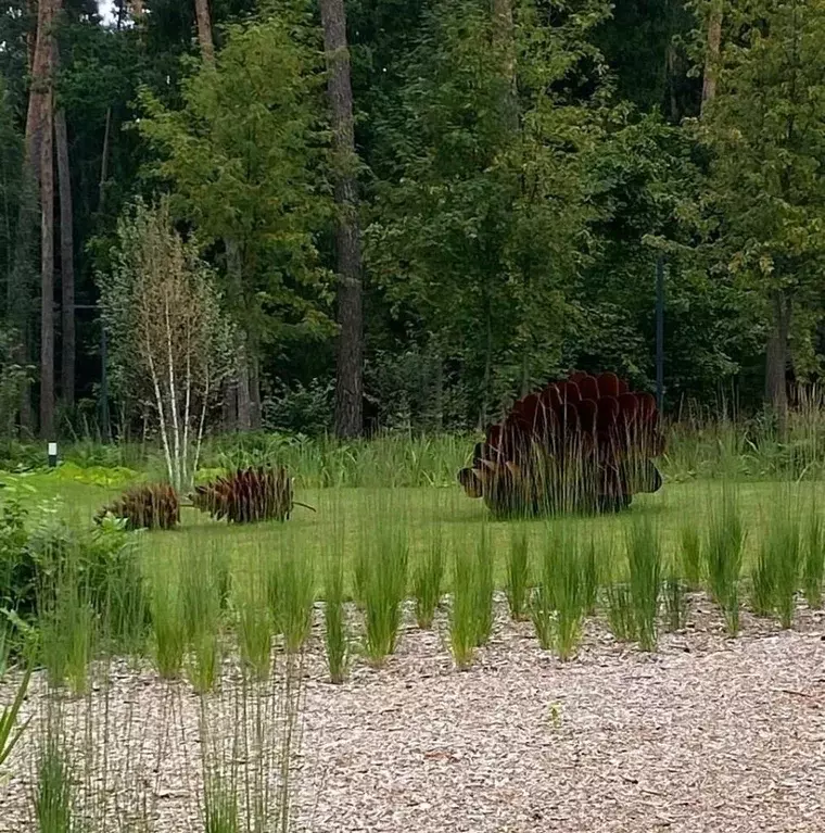 Участок в Московская область, Одинцовский городской округ, пос. ... - Фото 2