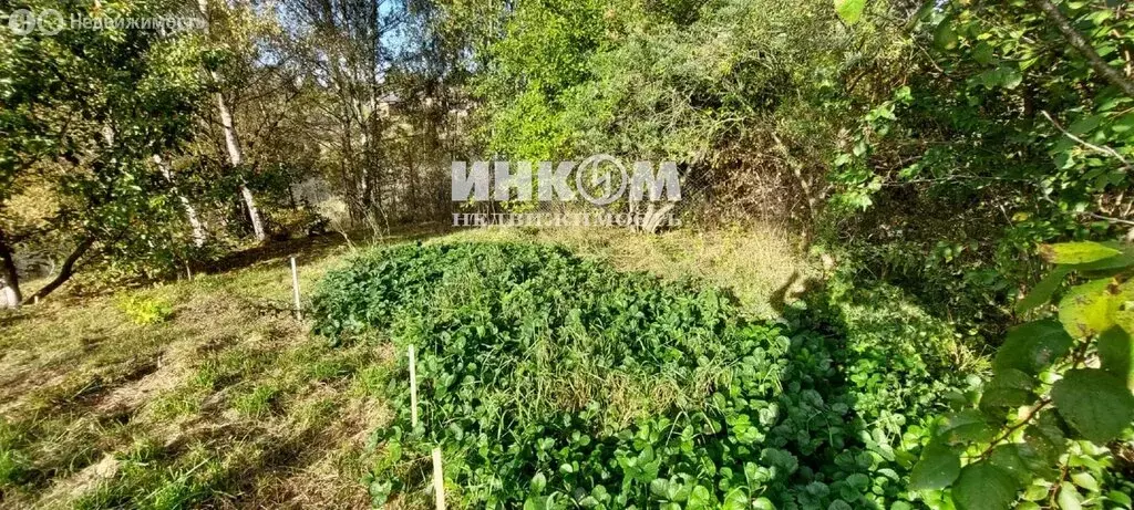 Участок в село Троицкое, Дачная улица, 80Д (11.8 м) - Фото 1