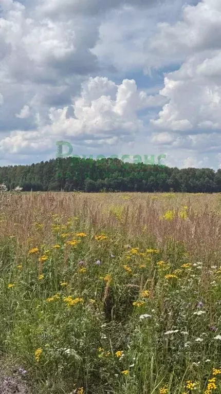Участок в Брянская область, Карачевский район, Мылинское с/пос, д. ... - Фото 2