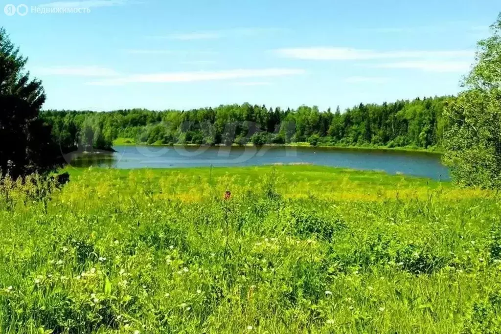 Участок в Тюменский район, деревня Ушакова (50 м) - Фото 1