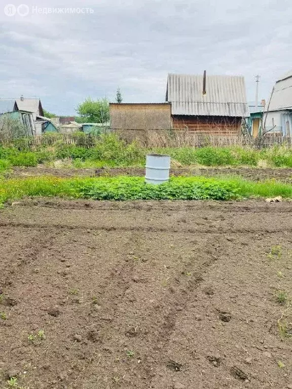 Участок в Новосибирск, садовое товарищество Пион, Гвоздичная улица (4 ... - Фото 1