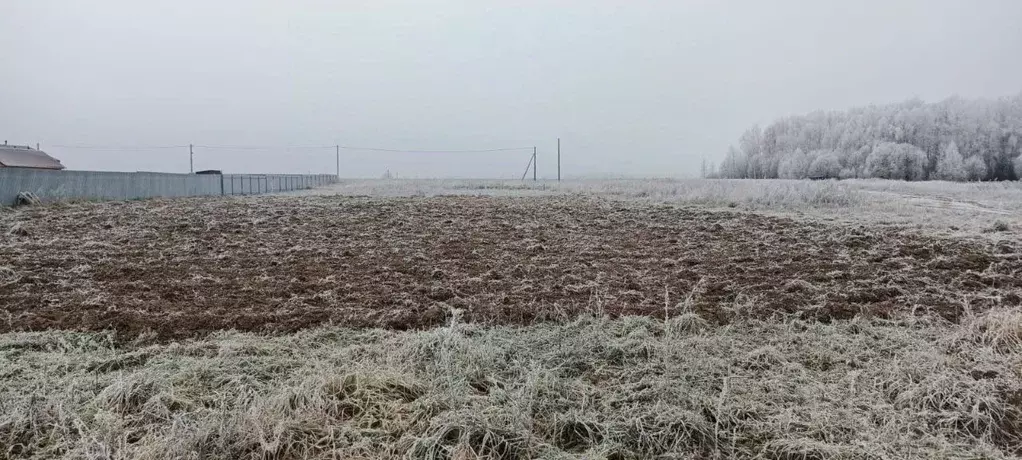 Участок в Марий Эл, Медведевский район, Азяковское с/пос, д. Шеклянур ... - Фото 1