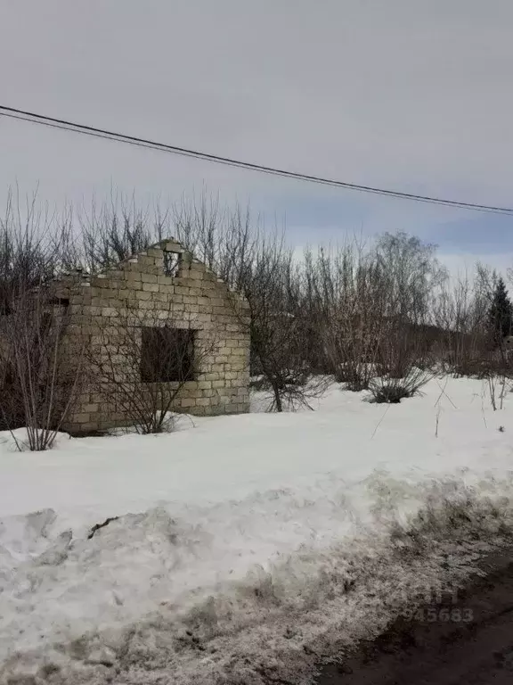 Участок в Тамбовская область, Тамбовский муниципальный округ, с. ... - Фото 2