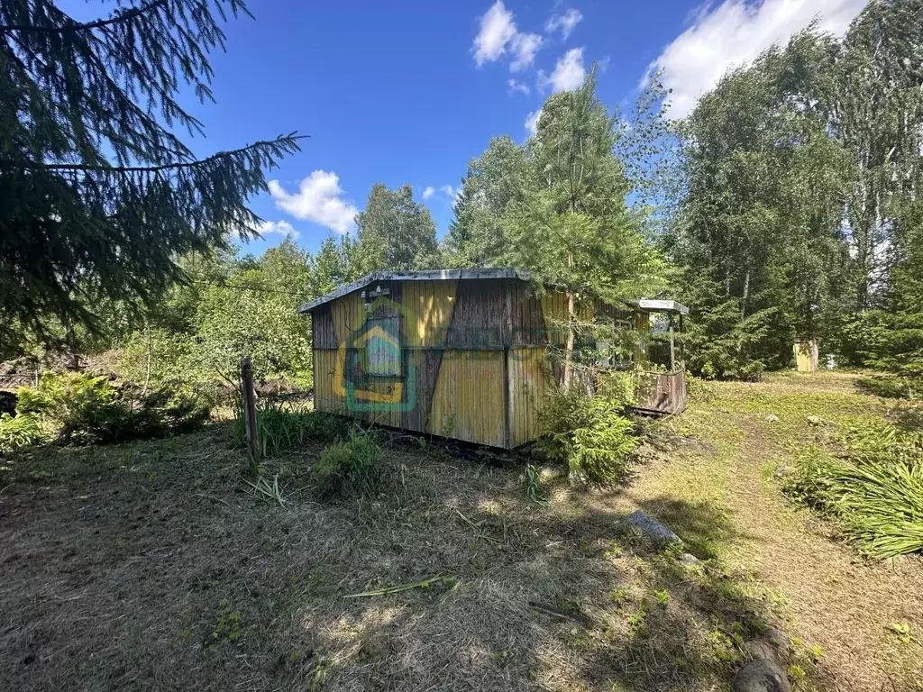 дом в ленинградская область, выборгский район, рощинское городское . - Фото 0