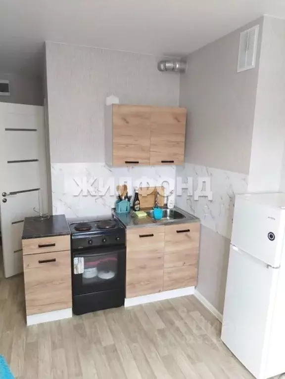 Студия Новосибирская область, Новосибирский район, Станционный ... - Фото 1