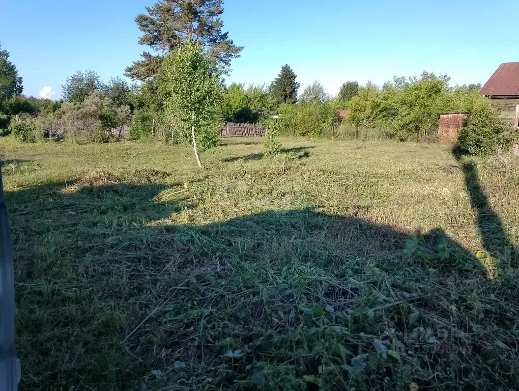 Участок в Новосибирская область, Новосибирск Сибиряк Пашинский СТ, 250 ... - Фото 1