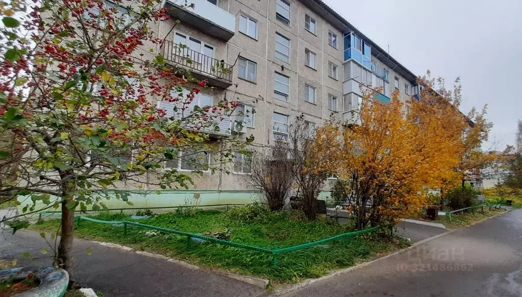 2-к кв. Омская область, Калачинск ул. Черепова, 58 (45.6 м) - Фото 1