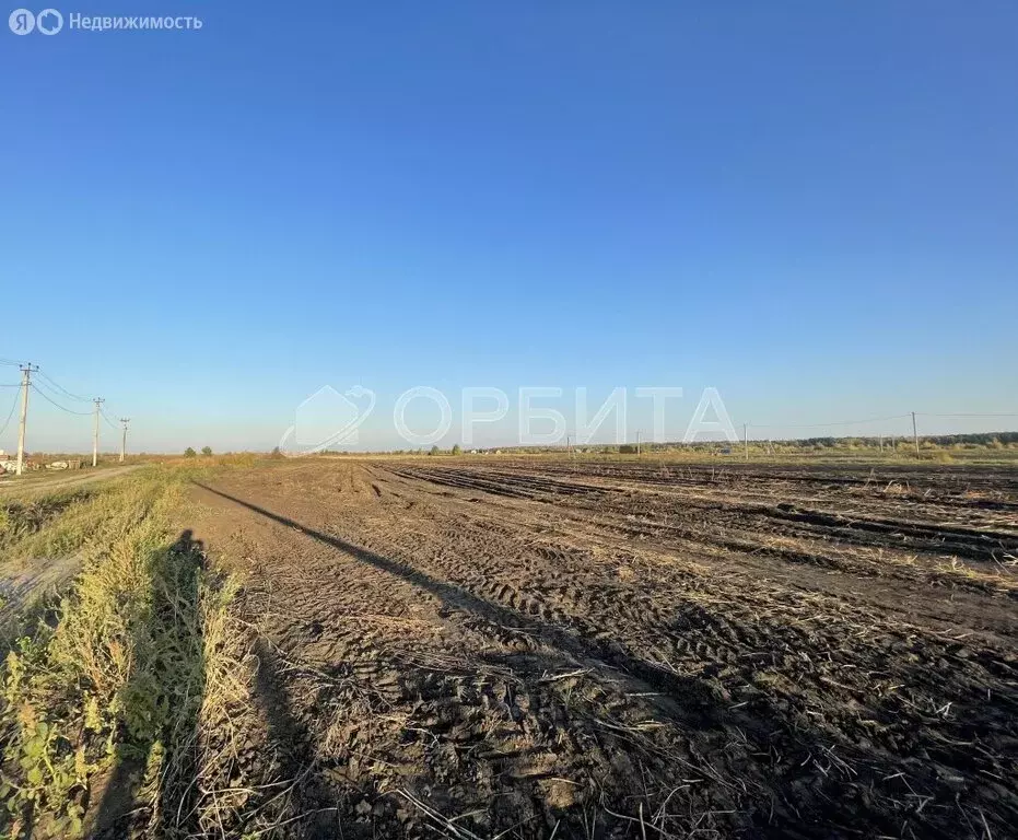 Участок в Тюменский район, деревня Ошкукова (7.5 м) - Фото 1