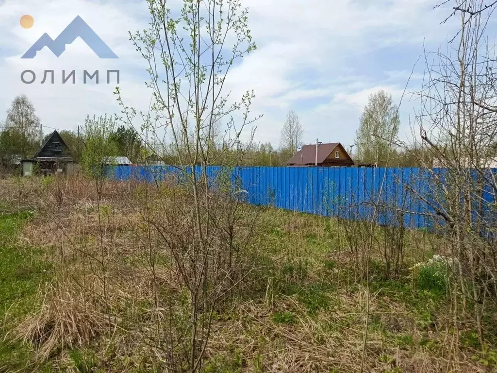 Участок в Вологодская область, Вологда Сохатый садоводческое ... - Фото 1
