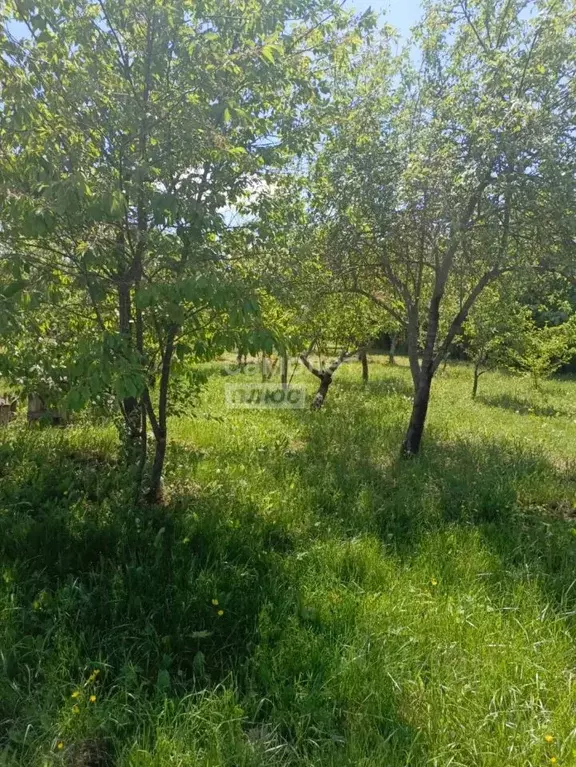 Участок в Краснодарский край, Горячий Ключ муниципальный округ, ... - Фото 2