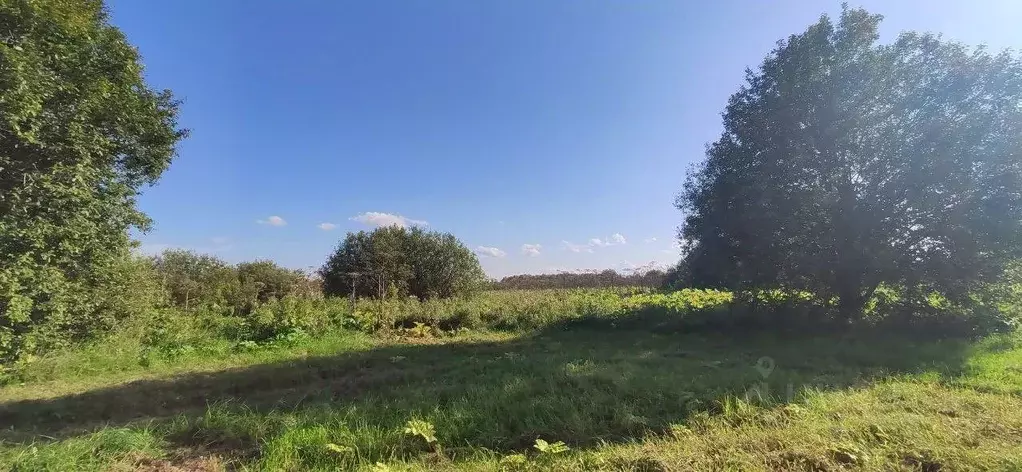 Участок в Московская область, Талдомский городской округ, д. ... - Фото 1