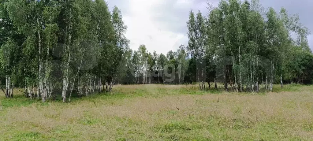 Участок 11,3 сот. (личное подсобное хозяйство (лпх)) - Фото 0