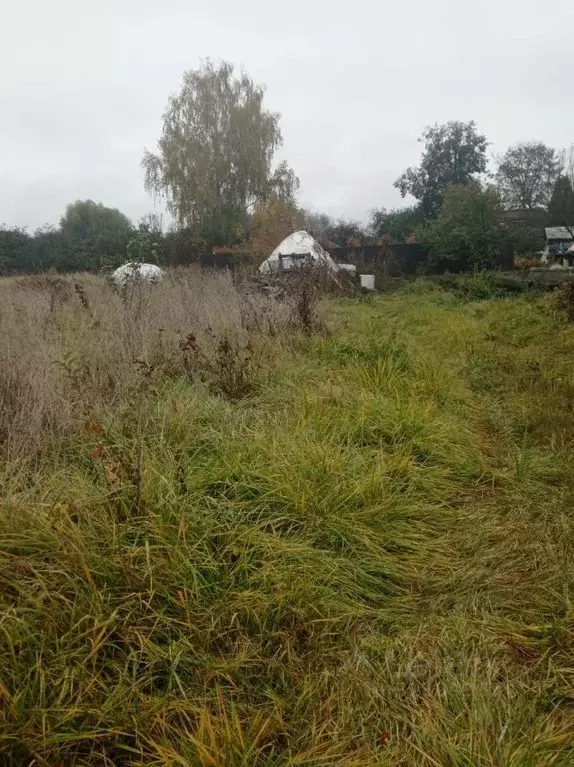 Участок в Московская область, Луховицы муниципальный округ, с. ... - Фото 1