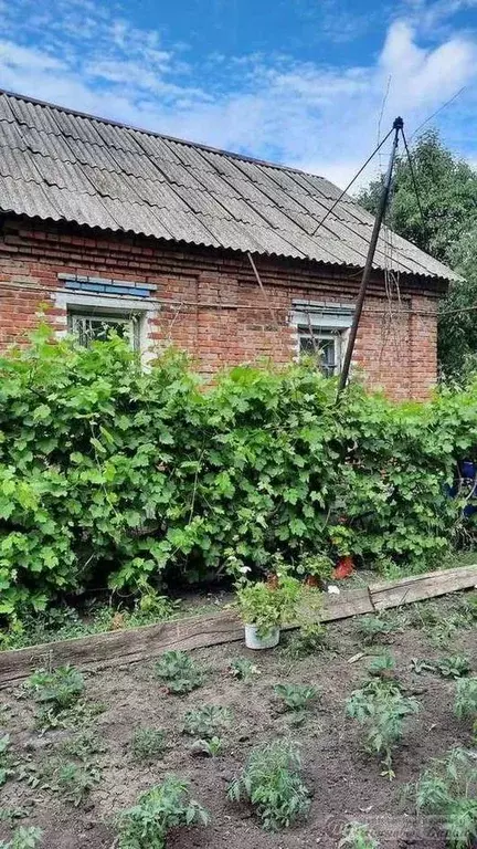 Дом в Самарская область, Самара Оршанский пер. (44 м) - Фото 1