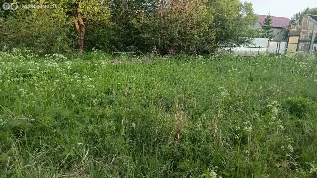 Участок в Венёвский округ, сельское поселение Центральное, село ... - Фото 1