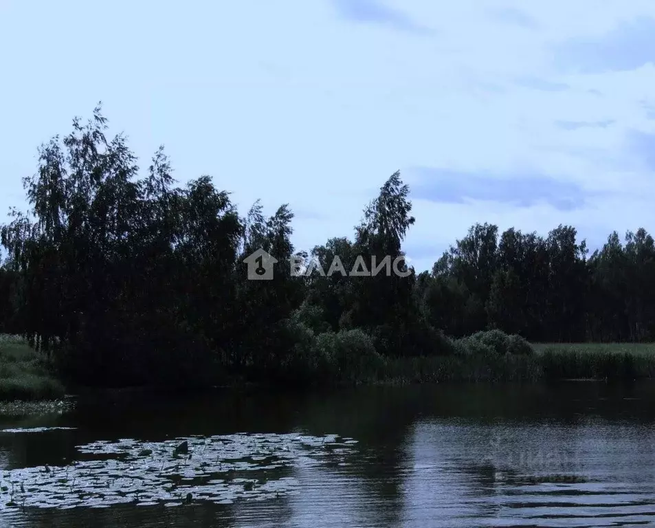 Участок в Нижегородская область, Сосновский муниципальный округ, д. ... - Фото 1