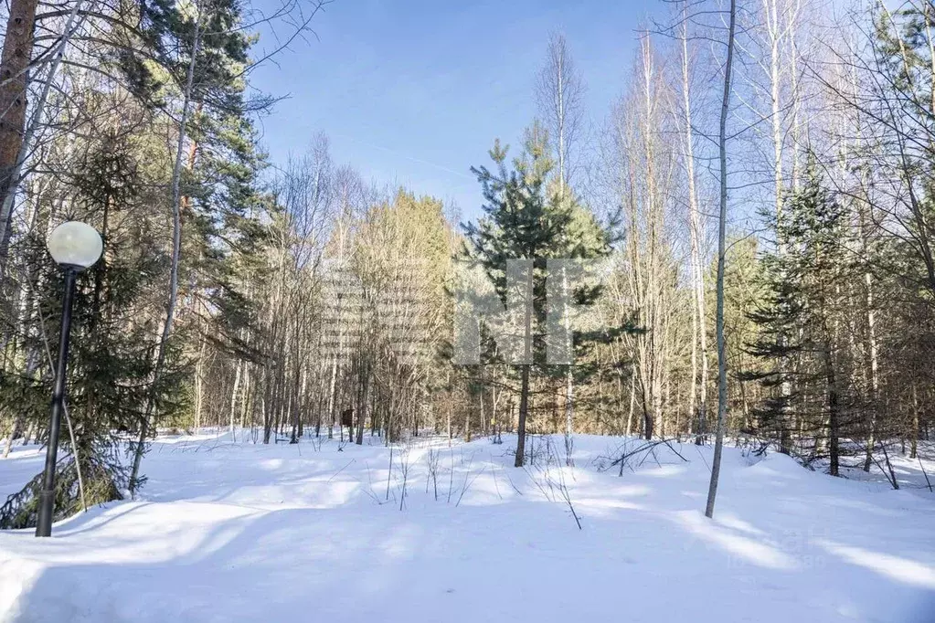 Участок в Московская область, Одинцовский городской округ, д. Маслово, ... - Фото 0