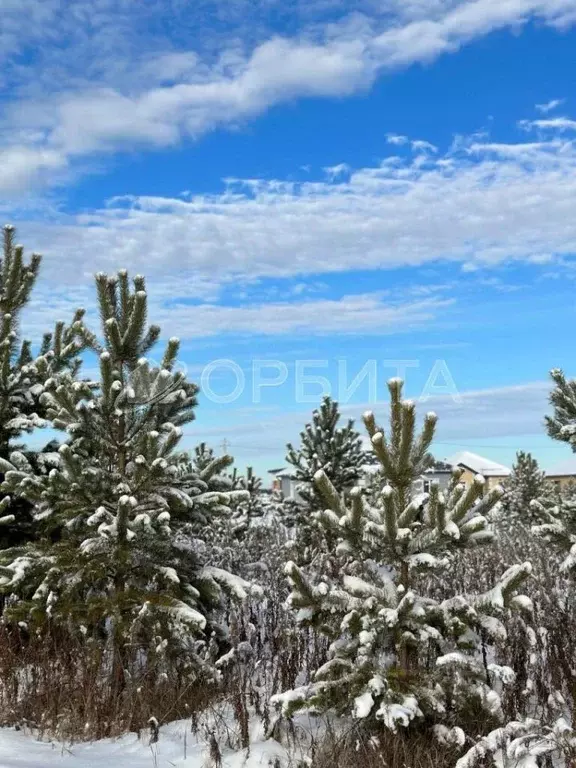 Участок в Тюменская область, Тюменский муниципальный округ, д. Елань ... - Фото 2