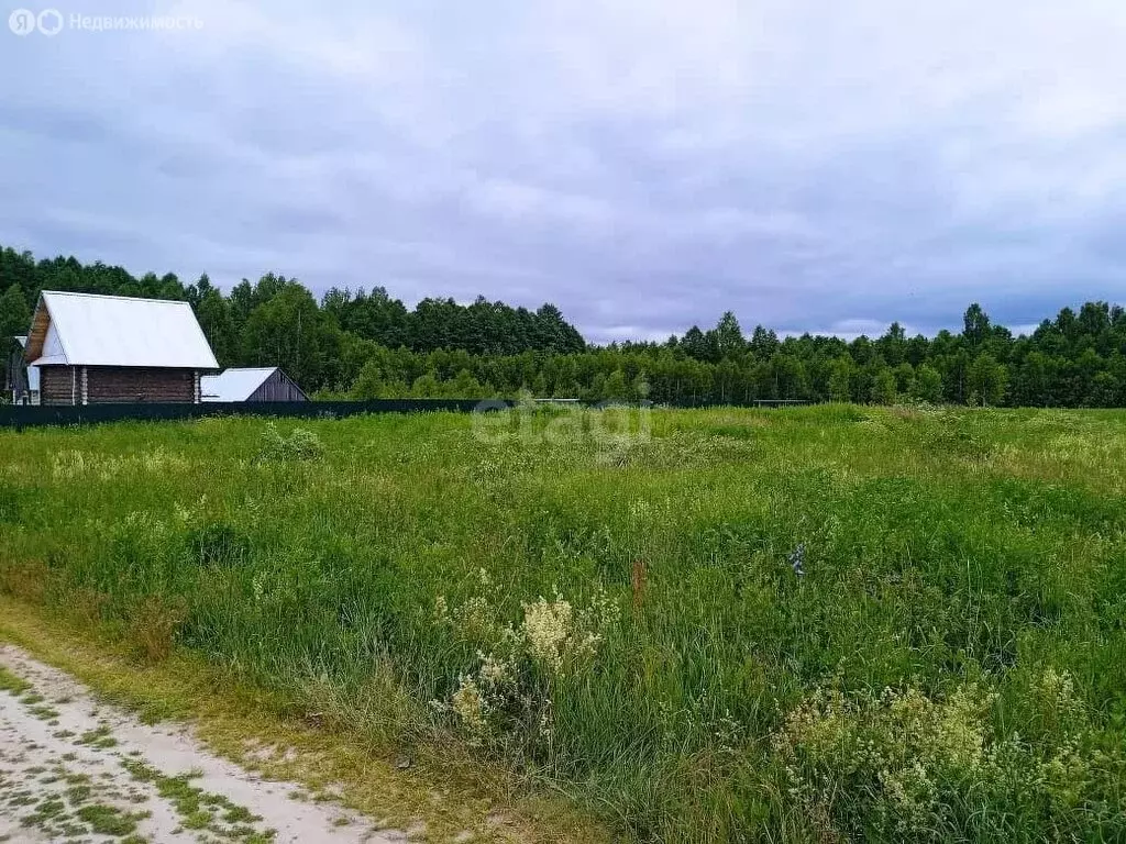 Участок в Медведевский район, Руэмское сельское поселение, деревня ... - Фото 0