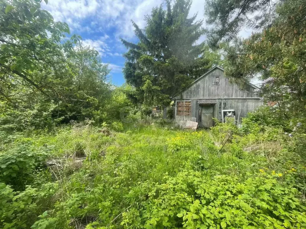 Участок в Татарстан, Казань Подгорный СНТ,  (3.21 сот.) - Фото 2