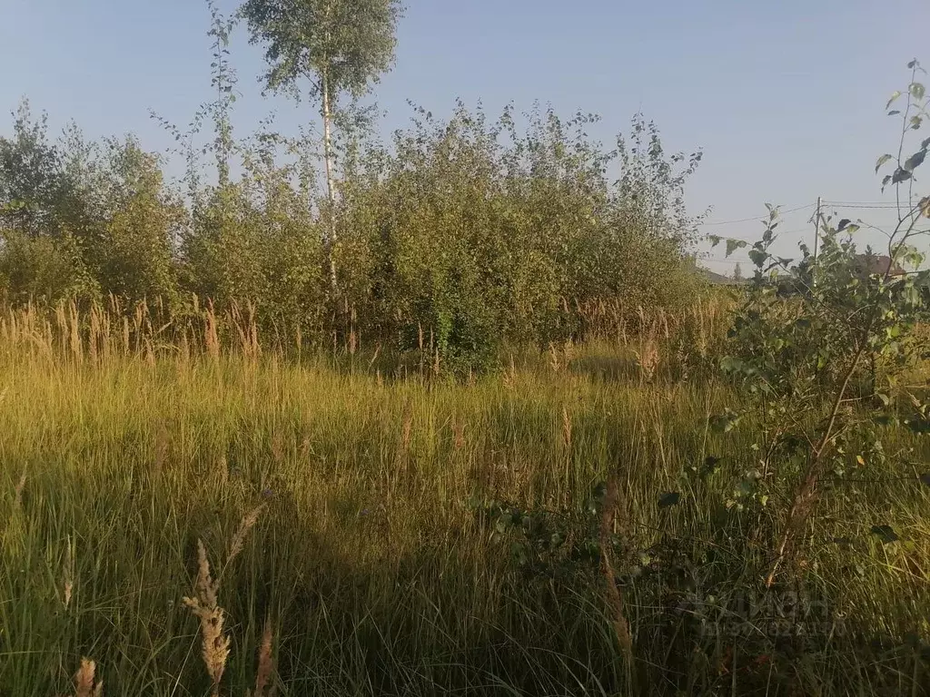 Участок в Тверская область, Конаково ул. Загородная (10.0 сот.) - Фото 0