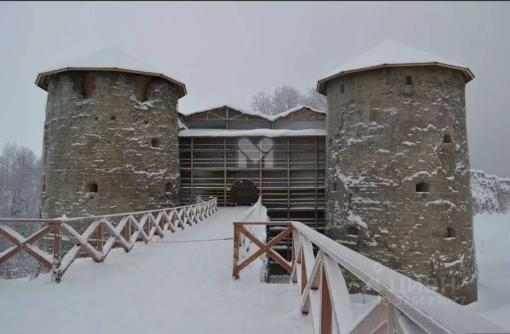 Участок в Ленинградская область, Ломоносовский район, Копорское с/пос, ... - Фото 2