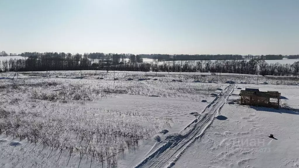 Участок в Новосибирская область, Новосибирский район, Морской ... - Фото 2