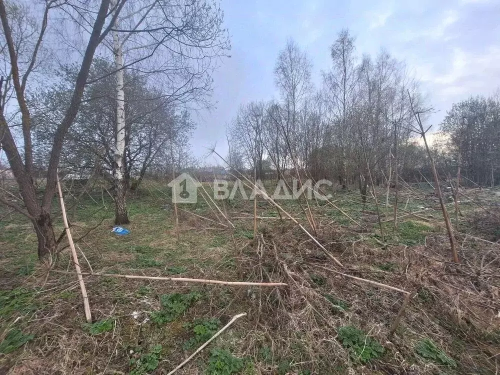 Участок в Калужская область, Калуга городской округ, д. Ильинка  (10.0 ... - Фото 2