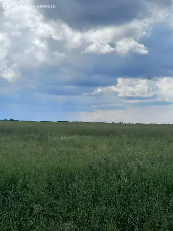 Участок в Ленинградская область, Гатчинский муниципальный округ, ... - Фото 2