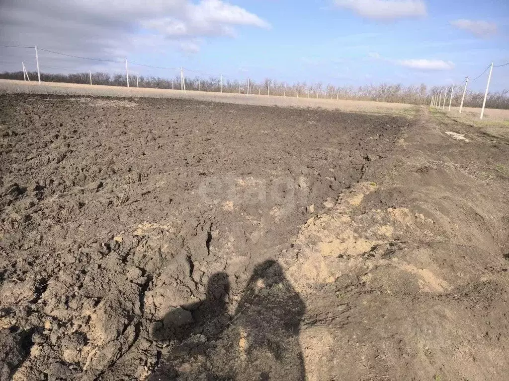 Участок в Ростовская область, Кагальницкий район, с. Новобатайск ... - Фото 0