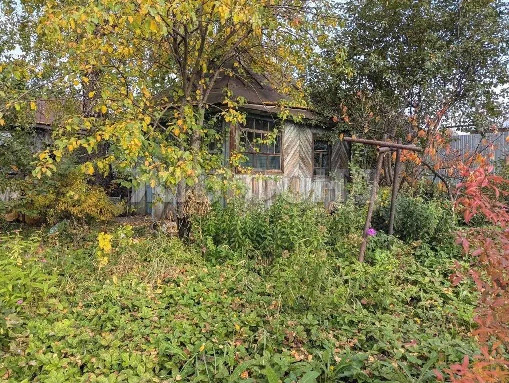 Участок в Новосибирская область, Новосибирск Пищевик СТ,  (7.71 сот.) - Фото 2