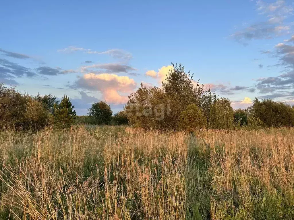 Участок в Свердловская область, Горноуральский муниципальный округ, с. ... - Фото 1