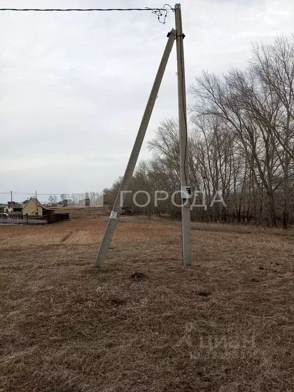 Участок в Алтайский край, Барнаул городской округ, пос. Центральный ... - Фото 0