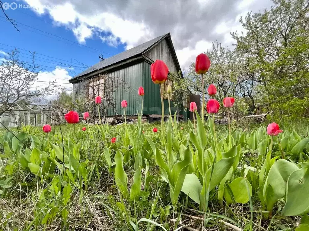 Дом в Тула, СНТ Волна (40 м) - Фото 2
