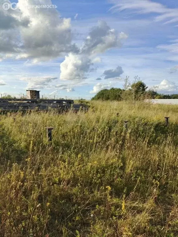 Участок в Кипенское сельское поселение, КП Ропшинское (10 м) - Фото 2